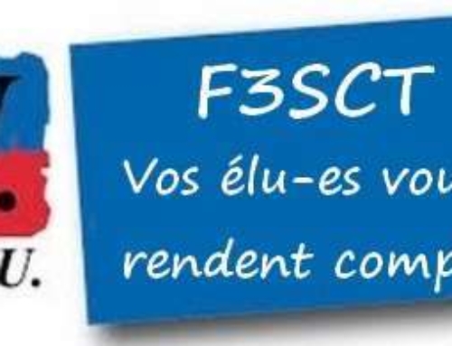 COMPTE RENDU DE LA F3SCT* D DU 17 JUIN 2025