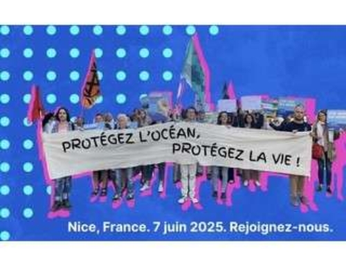 ✊ Rejoignez la Marche Bleue à Nice – Pour des océans vivants et protégés !