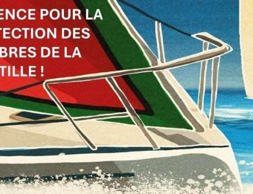 Pétition – Attaques contre la flottille pour Gaza : les autorités françaises doivent assumer leur devoir de protection diplomatique et consulaire