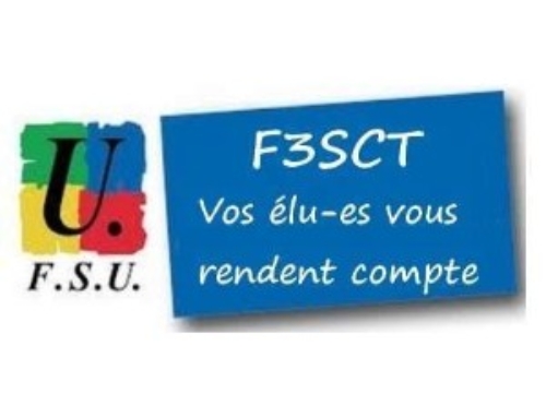 COMPTE RENDU DE LA F3SCT* D DU 10 NOVEMBRE 2025