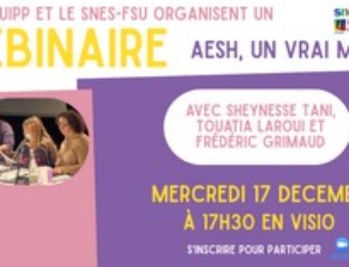 Webinaire – AESH un vrai métier, mercredi 17 décembre 17h30
