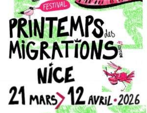 Le Printemps des Migrations revient à Nice du 21 mars au 12 avril 2026 !